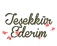 mek12.gif