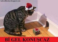 images (17).jpeg