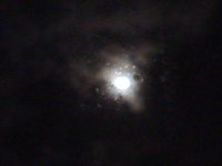 IMG_20190518_023111.jpg