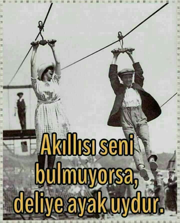 0923d68925d6972059fb86c10d01d8c3