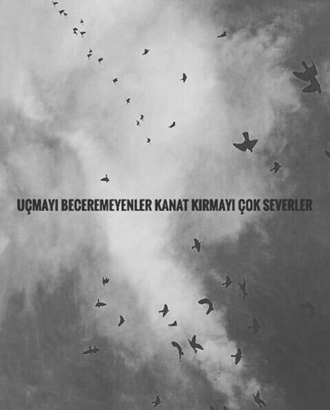 0a9465f9c36f42e7fa814a60323bd390