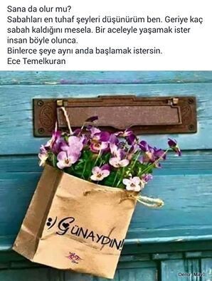 1085f342ec659db234cbab269b4edf32