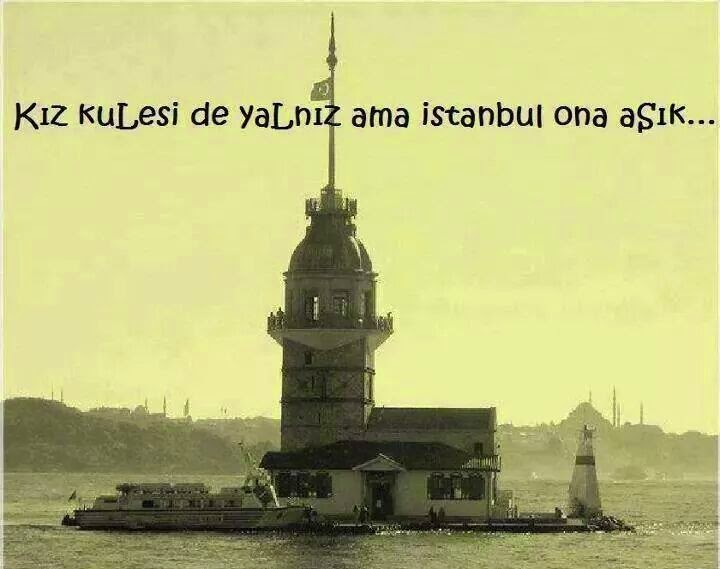 1541451027684