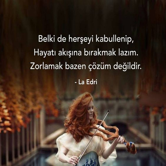 1541967902217