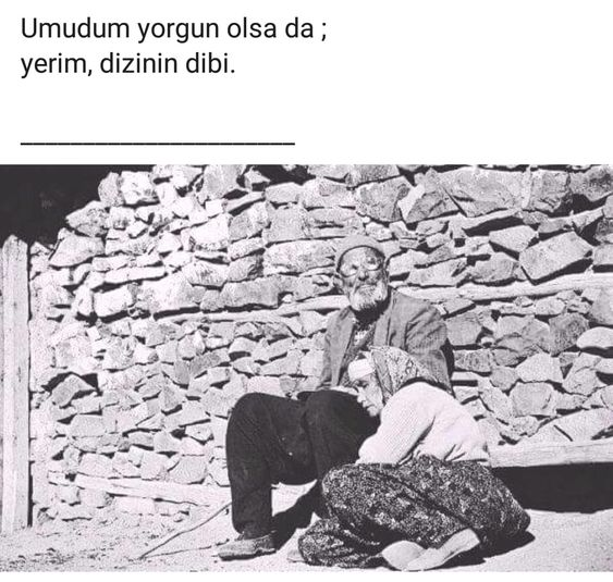 1560111318826