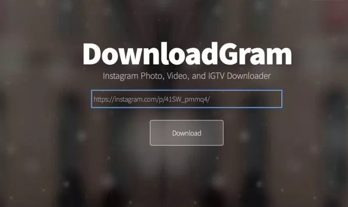 1561746032624