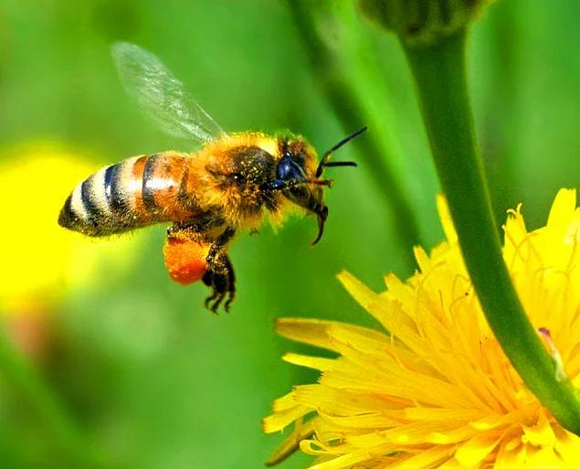1578939521633