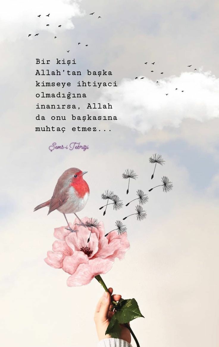164bc133ea1f3683e8faf95723098c24
