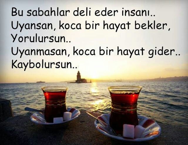 1c083fa32789d3debbd6537e688382dd