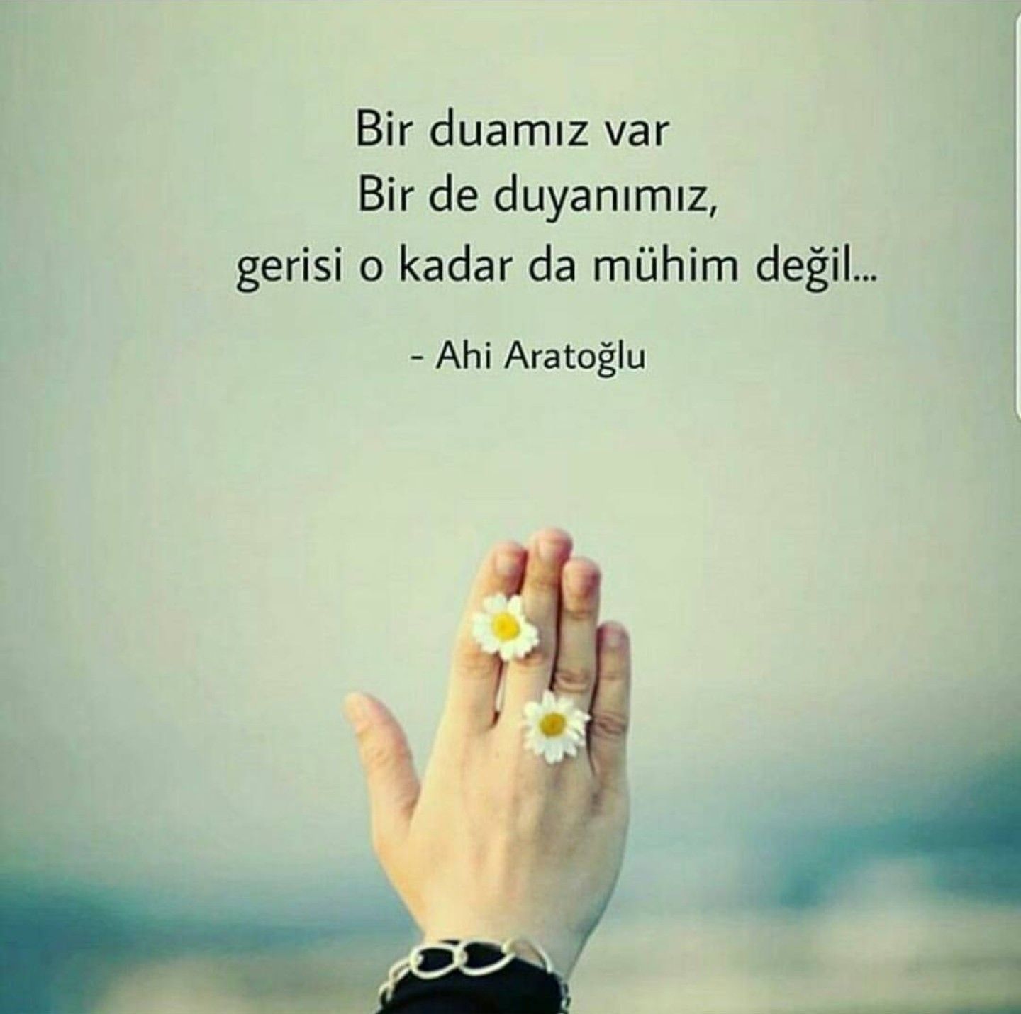 1c431acd43497e94b32a628c5fb4bcaf