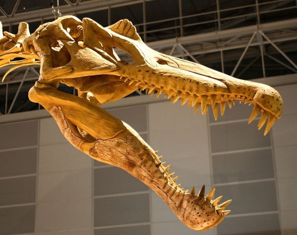 20 dinozor 600x476