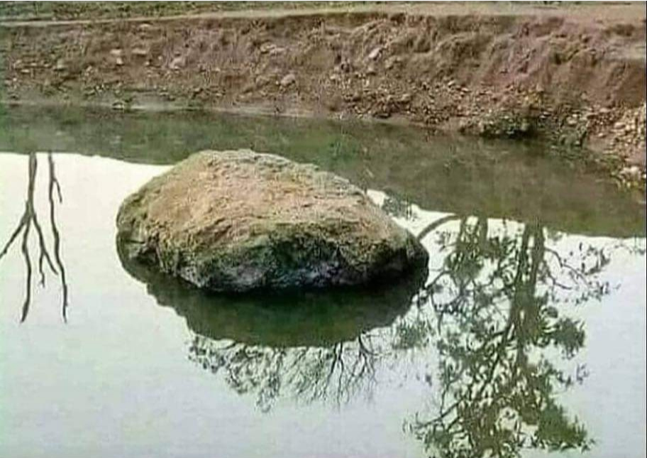 20200202 2029512