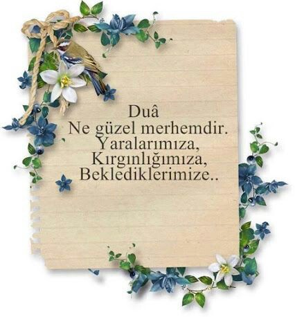 20cc8ee799097948fe9648c478a51c5b