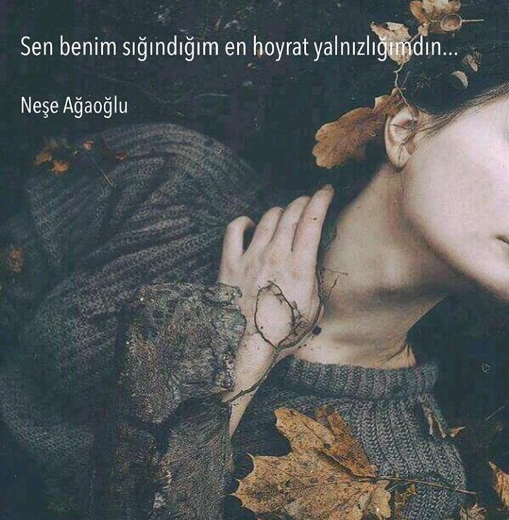 24a342a815cd0cae61c245079b5144b2