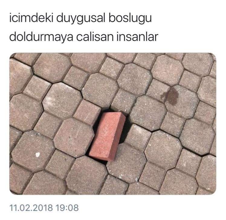 27750039 978322419009757 1019142963878812998 n2