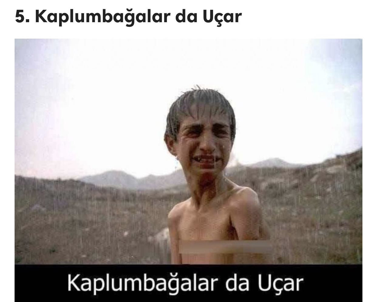 27DFEA5B 4E42 45F5 9BFC EE53780BF510