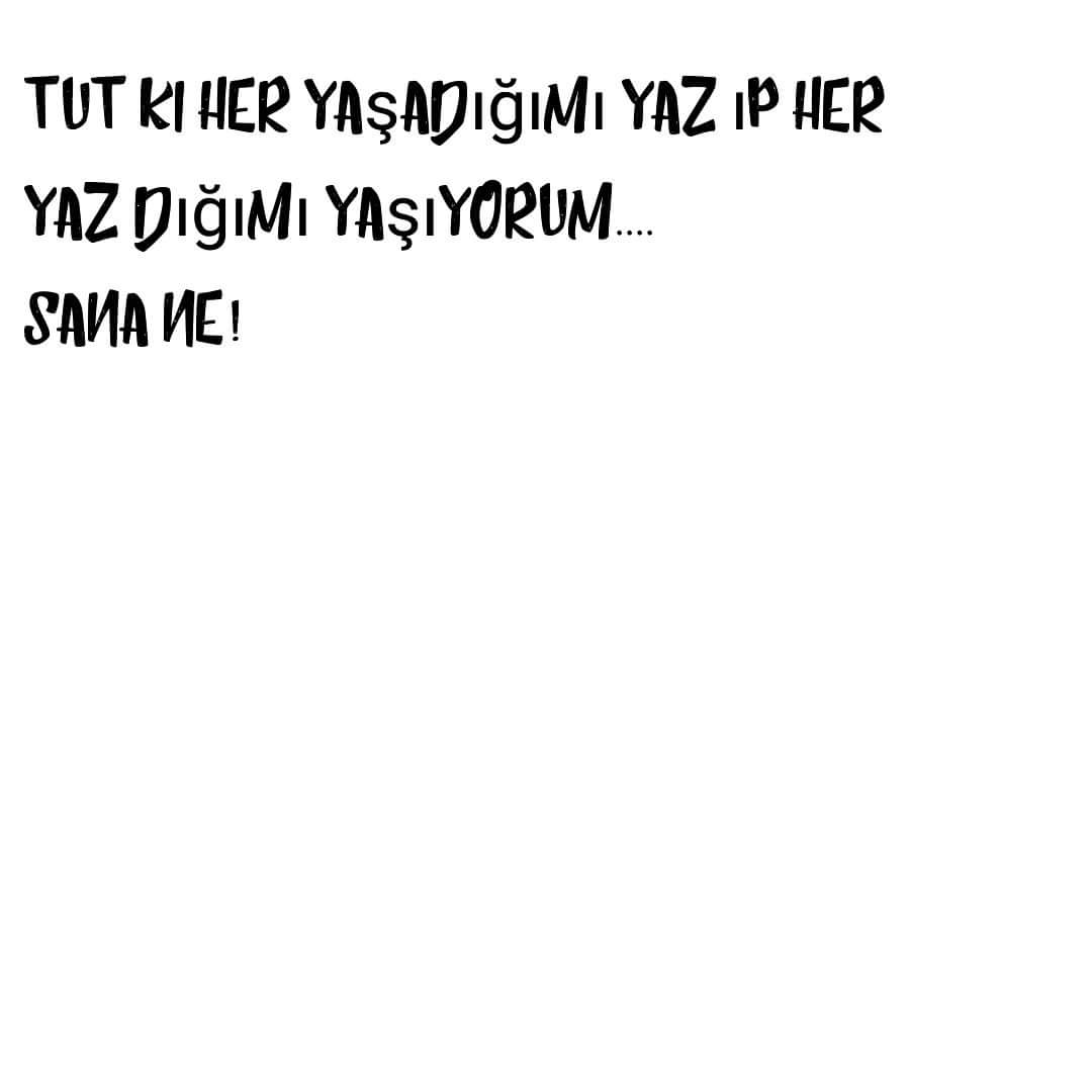 34796218 664116907257441 6423604382692016128 o