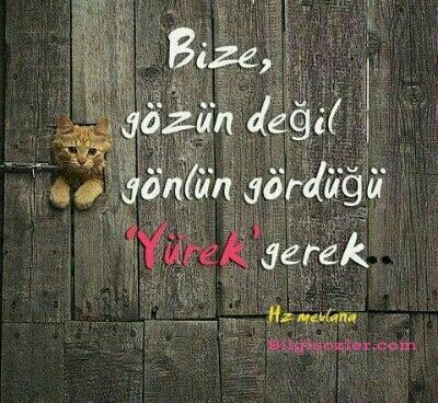 39bc69ee79d2de49af627f881e7e2394