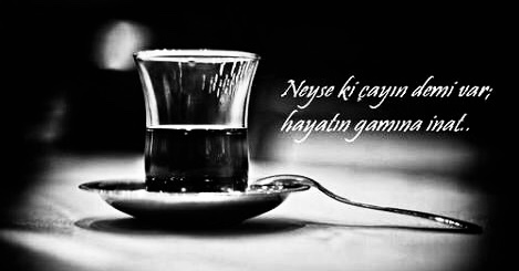 3FE3EEBF 17CA 4212 BC6E 46B63E1BE268