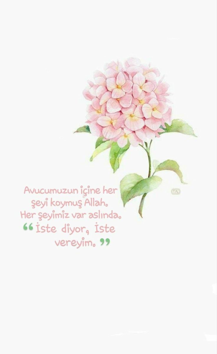 4252f1fb080b62a4eb92832335d4b67e