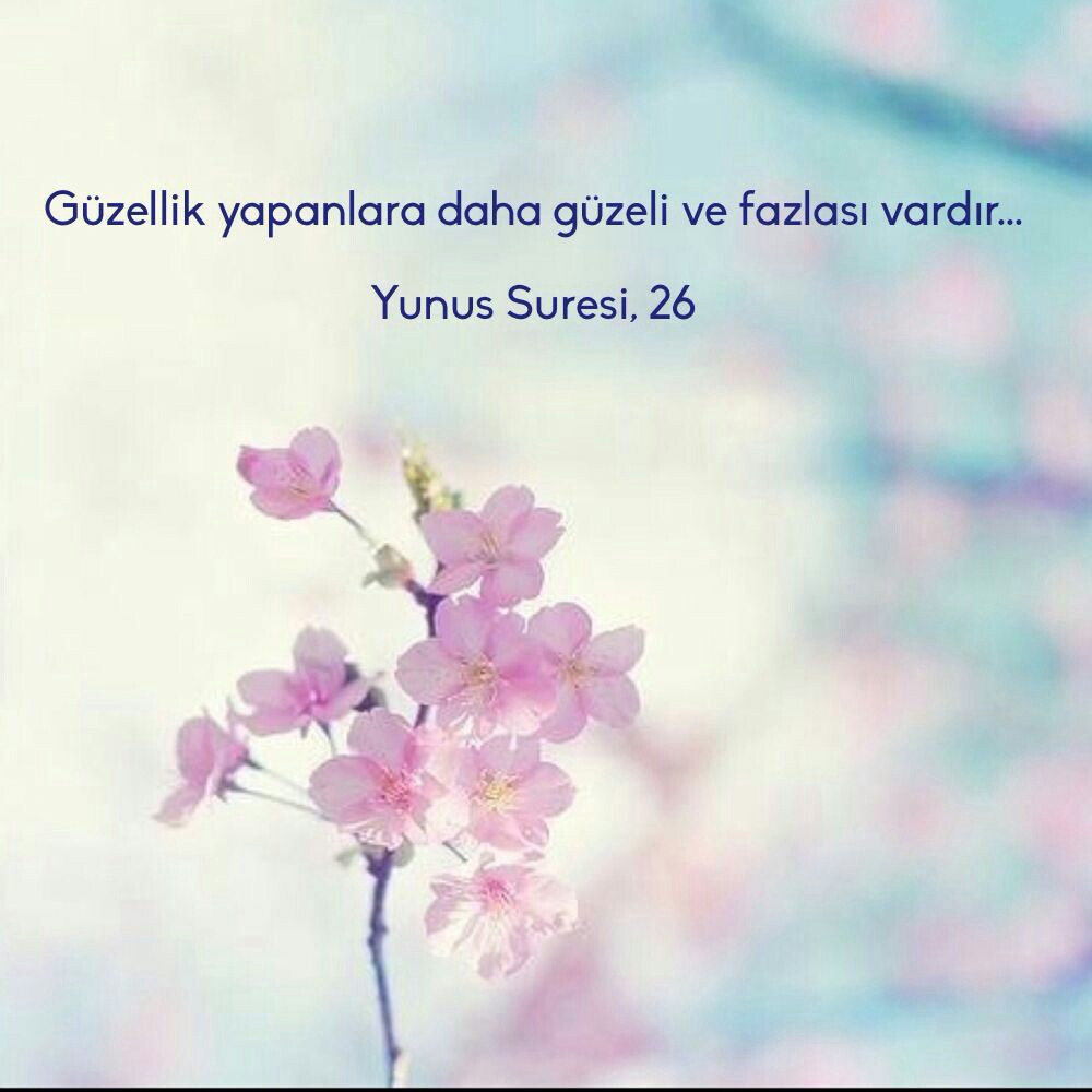 4867bc6c185f275ab8480923bb35daf9