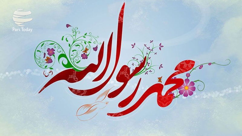 4bsgb0a76bb2ea1e7wz 800C450