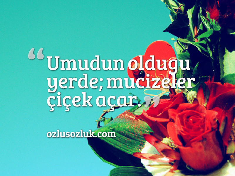 4ddb39063ca90fa31fa248fc1d865738