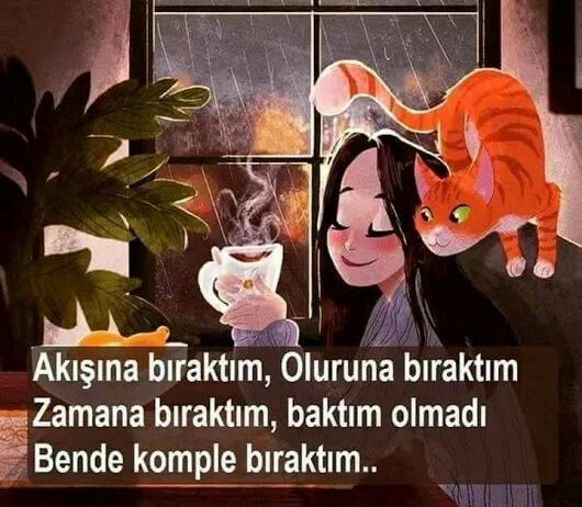 5d1a73ba5ef6a9bed168e93e28d41463