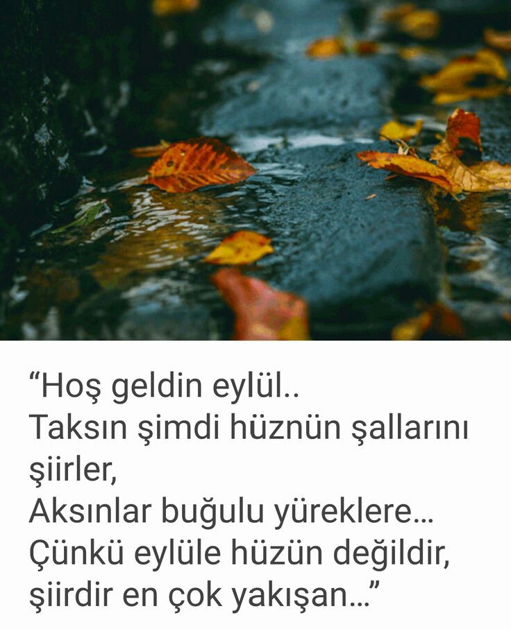 5f997db1840023c994c6b57864020768