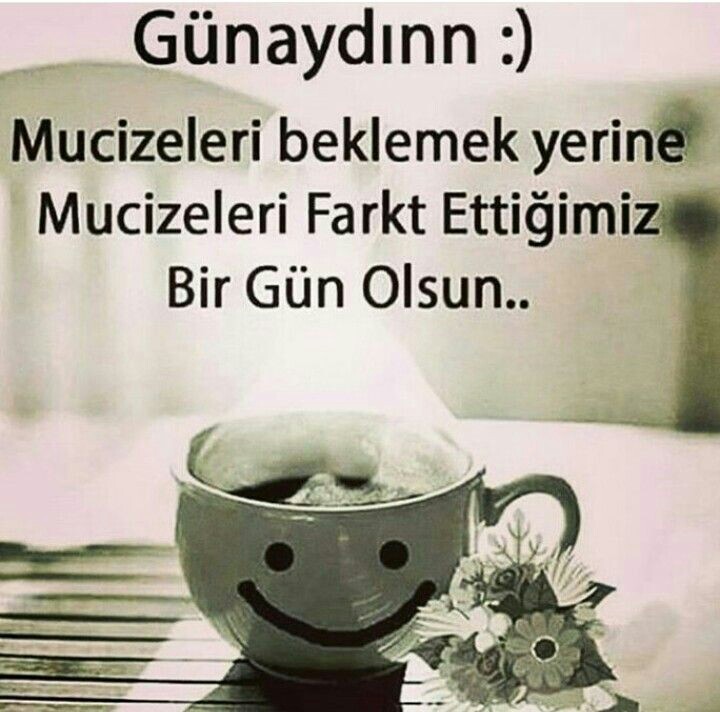 670df1ccc8bde5c425d59cef59e76bd4