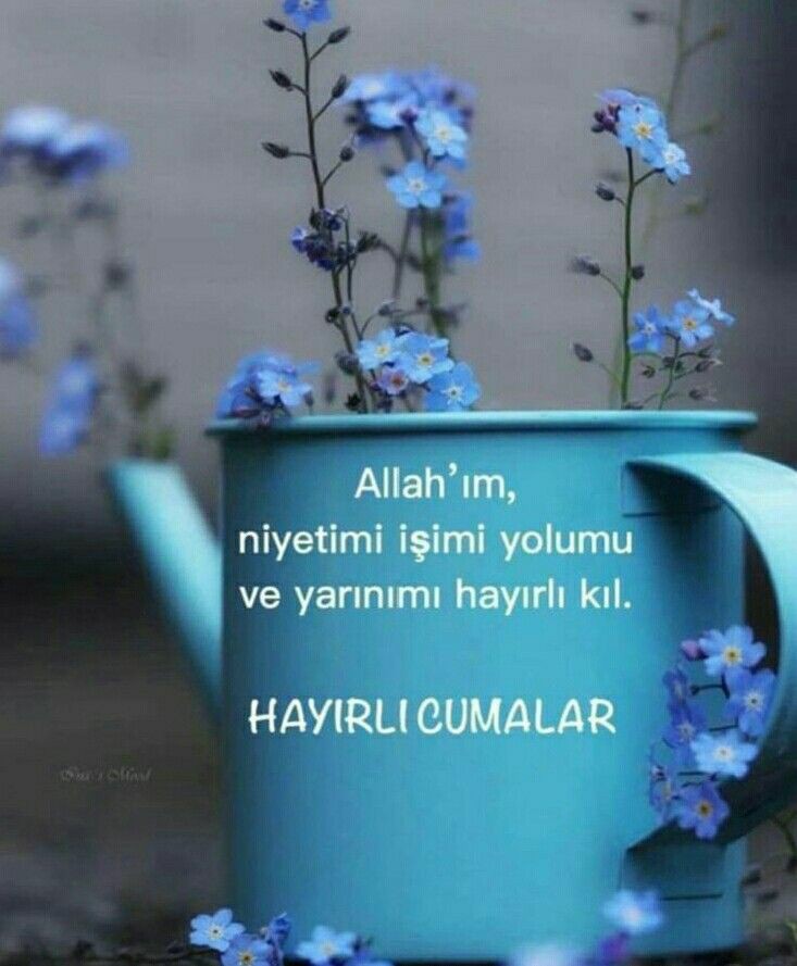 72406271b26e7369959769f8ebad3ca4