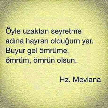 82b2534c d8a7 48e9 8ee7 6ec2ab581aae