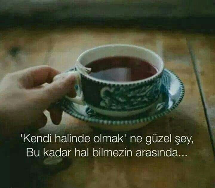 85ed1eec0c540893514c8ab464109687