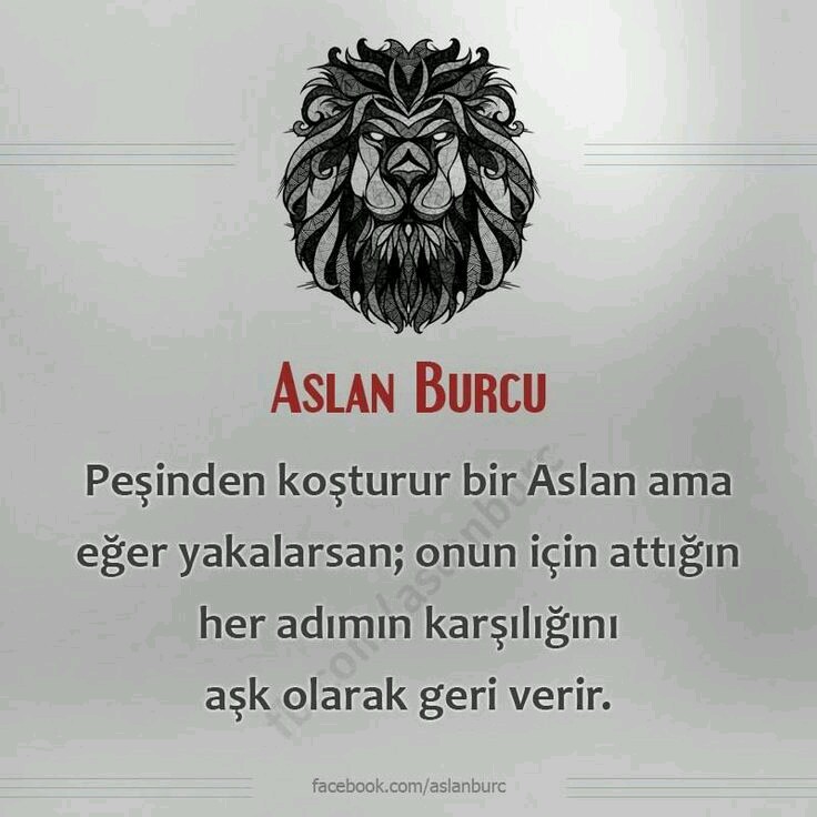 8f7a5f35dd6ba99c1e45ad8072b4b604