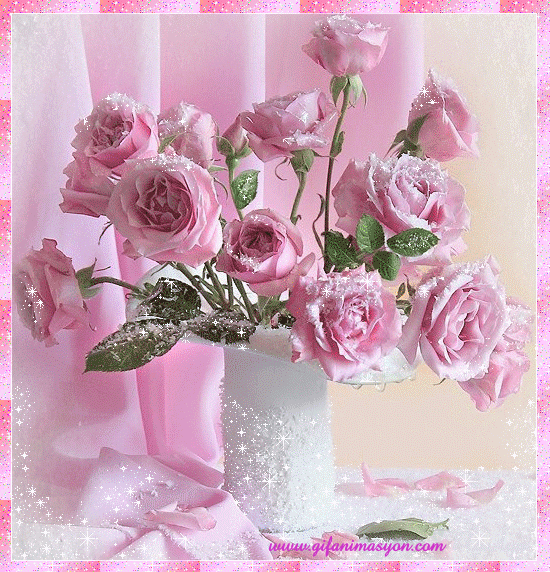 9d7ebedf12d3cfaad22fb156c65dfaec