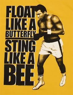 9ec62e488c2be544432ed06a6da6bf42  famous sports quotes sport quotes