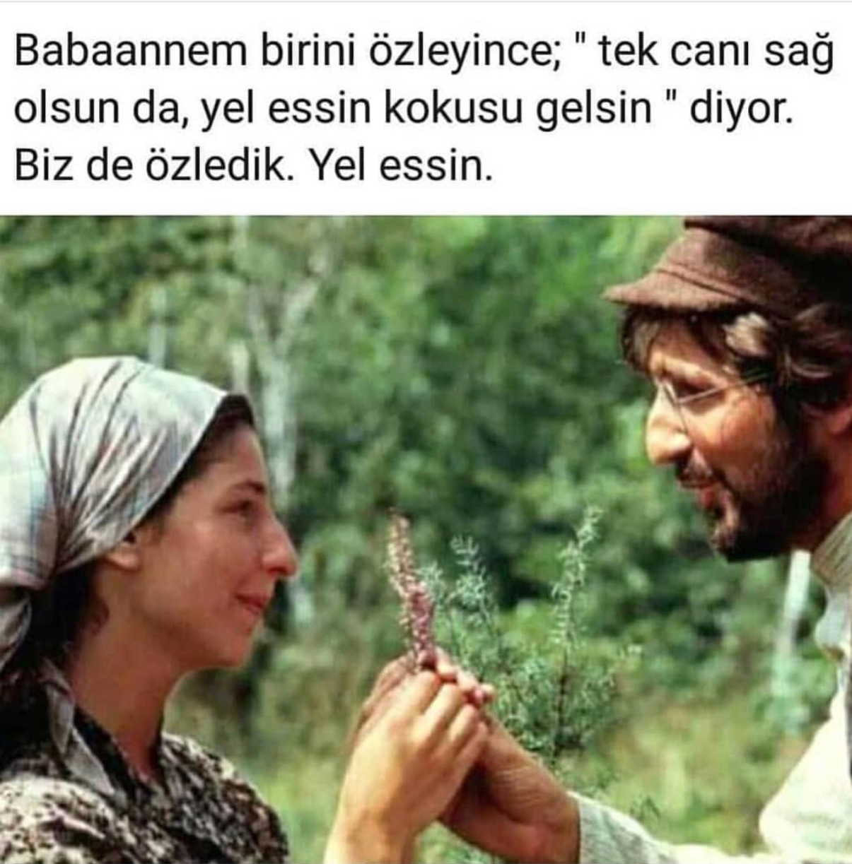 A0A282BB 8798 4551 AD28 A39C0289196F