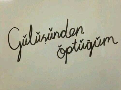 A73d19f5fe5a20e15333ac1052846085
