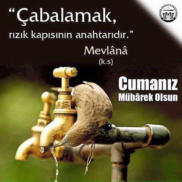Aslanmoda BXXkEbSg9jO