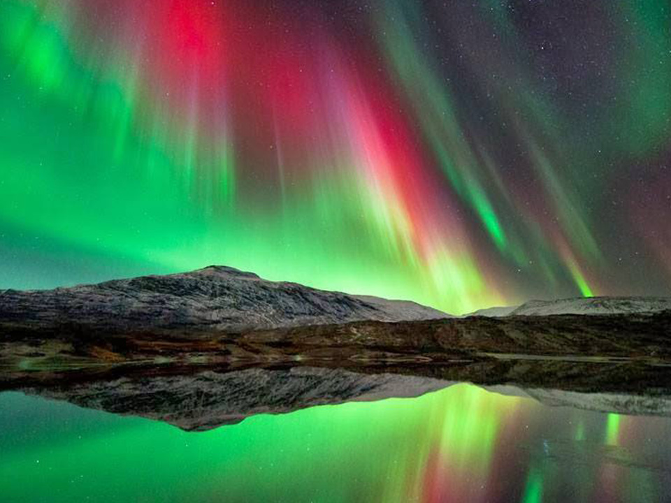 Aurora 9