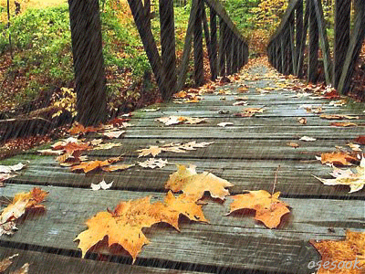 AutumnRain 1