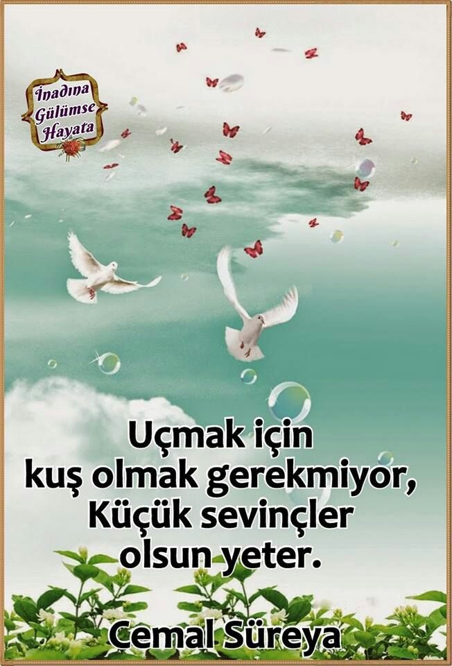C17104f66b3a49d188b203081c64c7d3