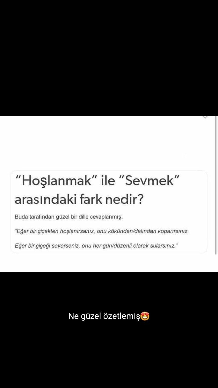 C526784962103221a0f637f6c84bb52b