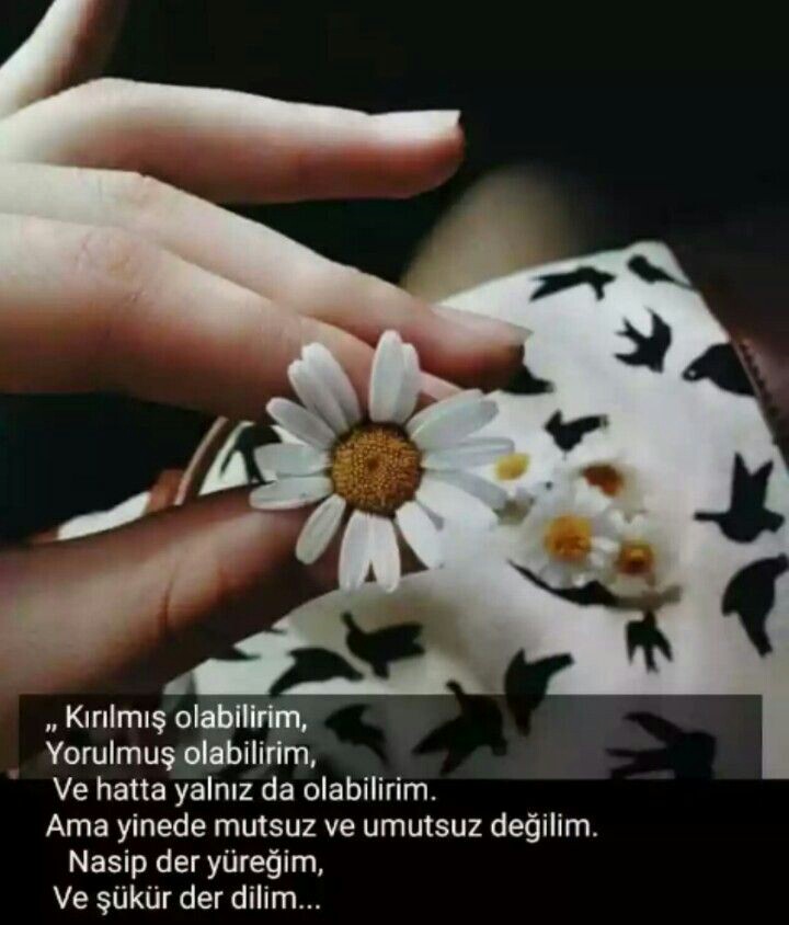 C9efbbc25390440a89aa2ceff3bcd2f4
