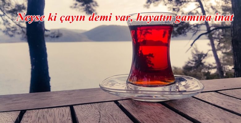 Cay