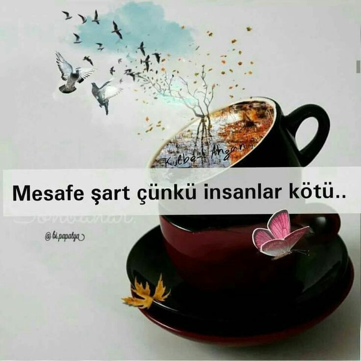 Cede0560cc11d3307e53e3edee4fb9ae