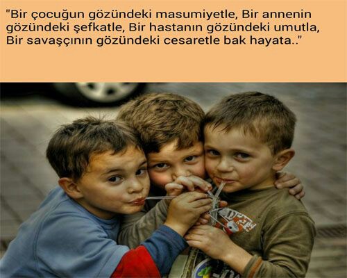 Cffc4c8a1a17abceb46cf7a2d8d2199e