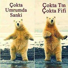 Okta fifi 