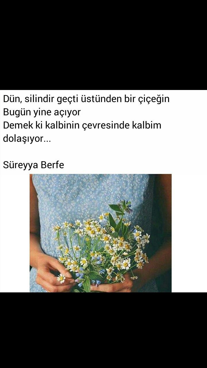 E4c2bf6d13ab2b5ce33c062a1127ae42