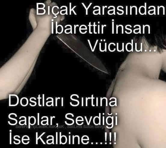 FB IMG 1494051679309